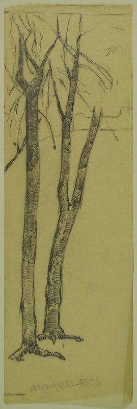 1917 ca. - Piazza Napoleone (lucido per albero a destra)